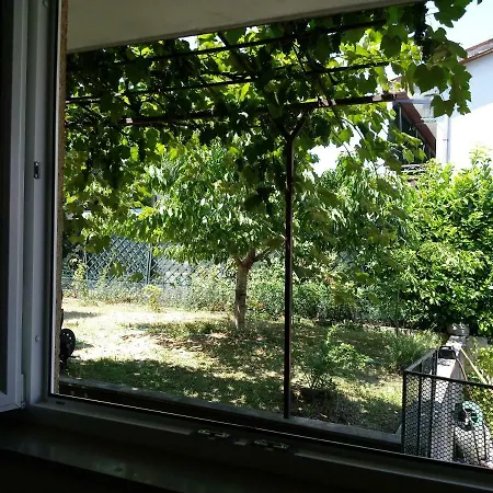 Grapes With A Bedroom *