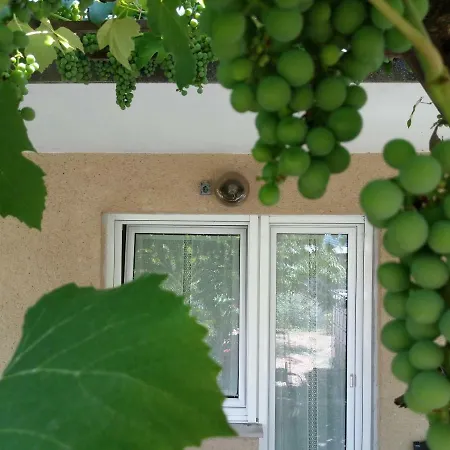 Grapes With A Bedroom דירה
